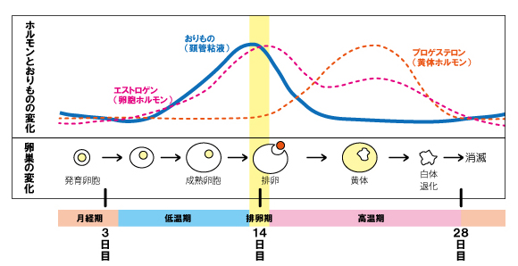 オリモノが少ないと妊娠しにくいですか 不妊 皮膚病を漢方の力で解決 クスリのミネサキ 鹿児島県